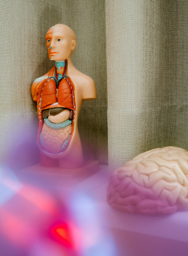 KAJA GROPE